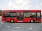 Заказ Автобус МАЗ 206