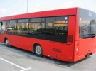 Заказ Автобус МАЗ 206